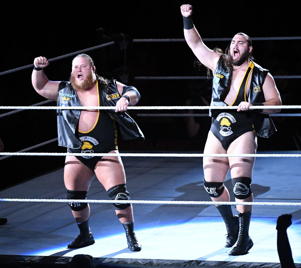 WWE at Reed Arena